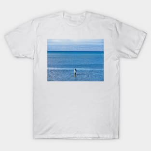 Molokai Study 7 T-Shirt